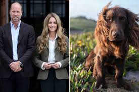 Kate Middleton and Prince William Reveal Their New Puppy's Name: 'Welcome to the Family'