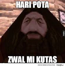 Znalezione obrazy dla zapytania kutas.jpg