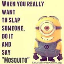 Funniest Minion Quotes Of The Week :) | Funny Minion Quotes ... via Relatably.com