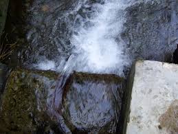 Image result for indonesia water pollution