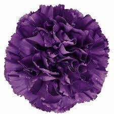 Image result for dark purple flower