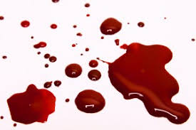Image result for smeared with blood tabernacle
