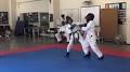 Video for Hogan's Taekwondo Kingston