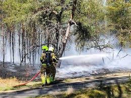 Bosbranden bij Kootwijk en Harderwijk: brandweer bezig met nablussen
