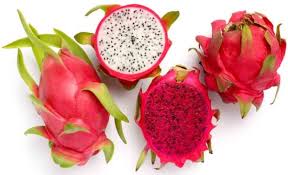 Image result for buah naga merah