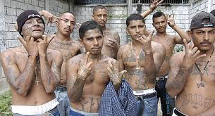 Image result for illegal aliens