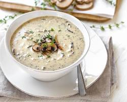 Cream of Musroom Soup