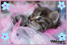 Résultat de recherche d'images pour "bravo blingee"