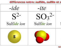 Sulfite