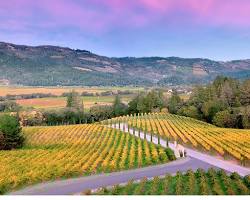 Image of Napa Valley Wineries, California