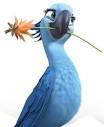 rio 2 cast parrots singing in spanish