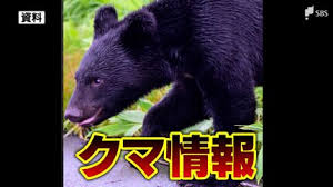 くま