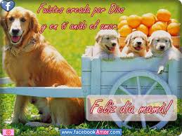 Resultado de imagen para las imagenes mas hermosas para el dia de la madre
