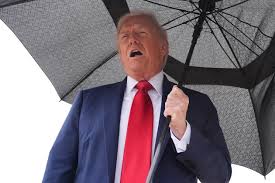 Politico - News update