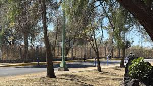 Hombre Muere en Ciudad Universitaria; UNAM Reporta Caso a la Fiscalía de la CDMX