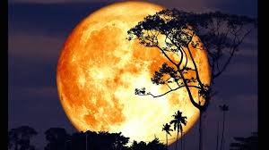Full Moon Today 2025: When, How to See Buck Moon Tonight and When is Next Full Moon?