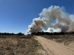 Brand Weert : ce qu'il faut savoir — image 4