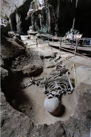 Art for the ocean and the forest