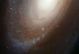 Image result for galaxy m81