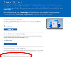 Image of Microsoft Windows 11 download page