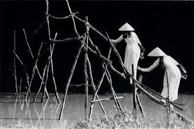 Image result for cầu khỉ miền tây