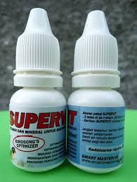 Hasil gambar untuk vitamin kenari