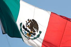 Image result for jalisco cartel new generation