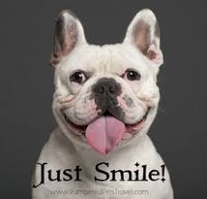 Dog Quotes on Pinterest | Cute Dog Quotes, Dogs and Puppys via Relatably.com
