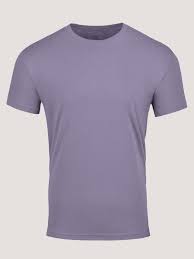 Flint Purple Crew Neck