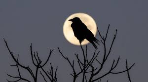 vollmond januar 2026 sternzeichen