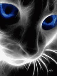 Resultado de imagen para fondos de pantalla animados gif