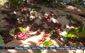 VTV.vn - News update