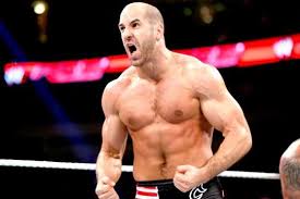 نتيجة بحث الصور عن ‪cesaro‬‏