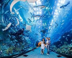Immagine di Dubai Aquarium and Underwater Zoo