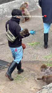 🥹🥹🥹 | Zoo Keeper | TikTok