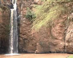 Image of Makalia National Park in Kenya