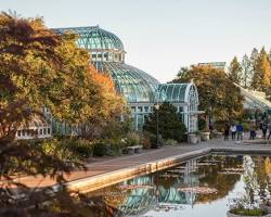 Image of Brooklyn Botanic Garden, New York City