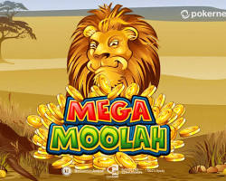 person playing Mega Moolah slot machine