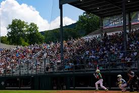 2026 Little League World Series: Scores, schedule, results, bracket as LLWS tournament continues in Williamsport