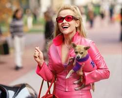 Image of Elle Woods from Legally Blonde