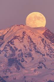 News source: Vogue France