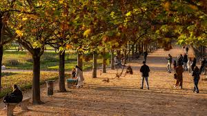 Que faire à Paris cette semaine ? (8-14 décembre)