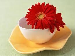 Image result for flowers in a cup