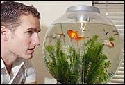 Innovation: Matthew Stevenson of Reef One with his Biorb aquarium, a safe environment for fish. By Wendy Grossman. 12:03AM BST 30 Jun 2003 - money-graphics-2003_910067a