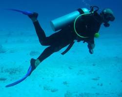 Image of Scuba diving