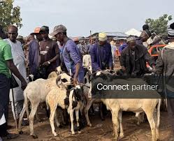 Licensable picture: Markets of Nasarawa crowded ahead of Eid al-Adha in Nigeria