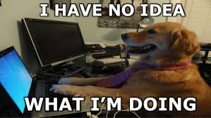 Image result for Im fine meme