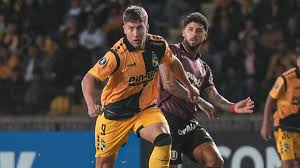 universitario
