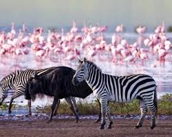 Image of Lake Nakuru National Park, Kenya