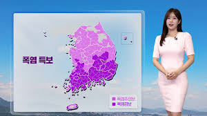 KBS 뉴스 - News update